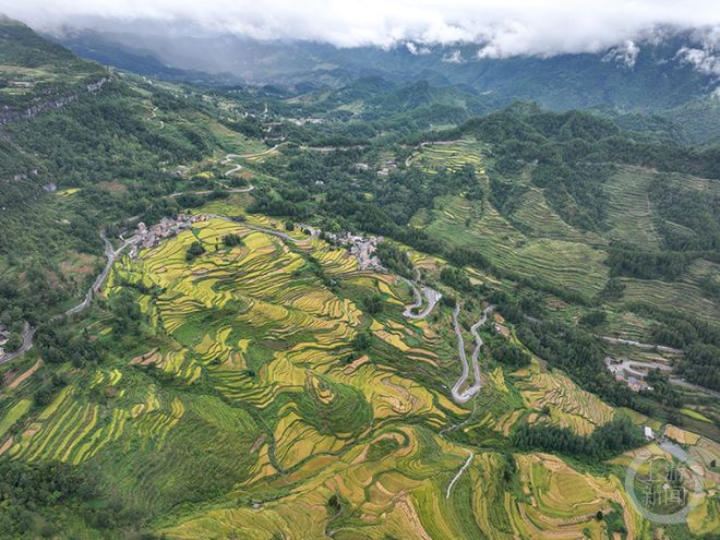 九游体育-秋韵（197） 上游主题摄影征稿作品展——冉川作品